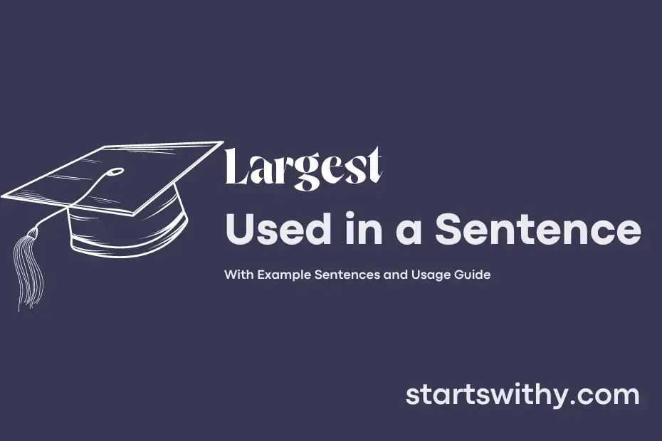 largest-in-a-sentence-examples-21-ways-to-use-largest