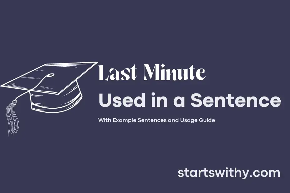 last-minute-in-a-sentence-examples-21-ways-to-use-last-minute