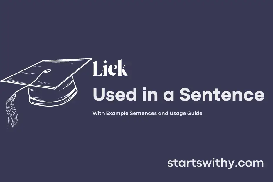 sentence with Lick