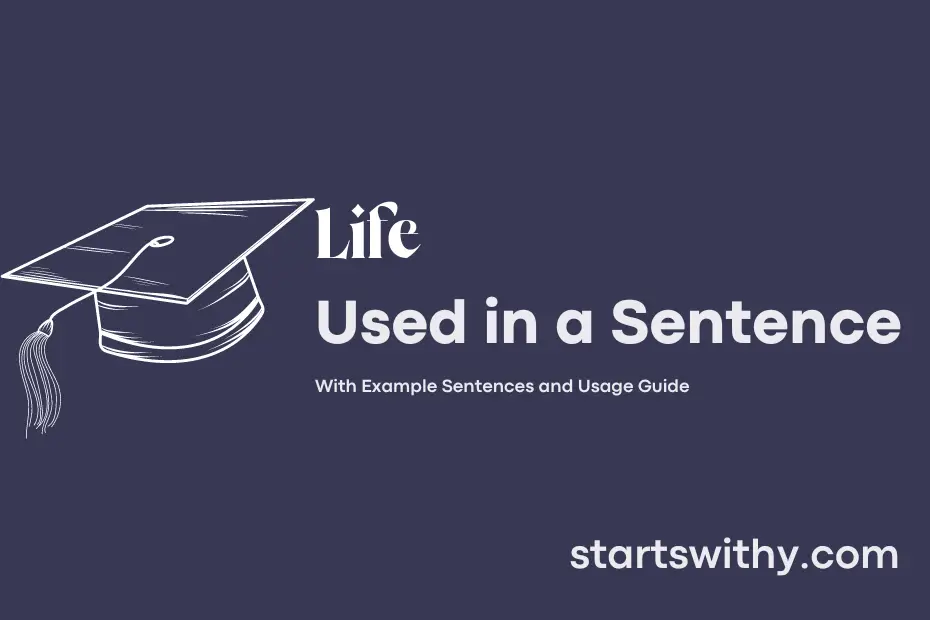 life-in-a-sentence-examples-21-ways-to-use-life