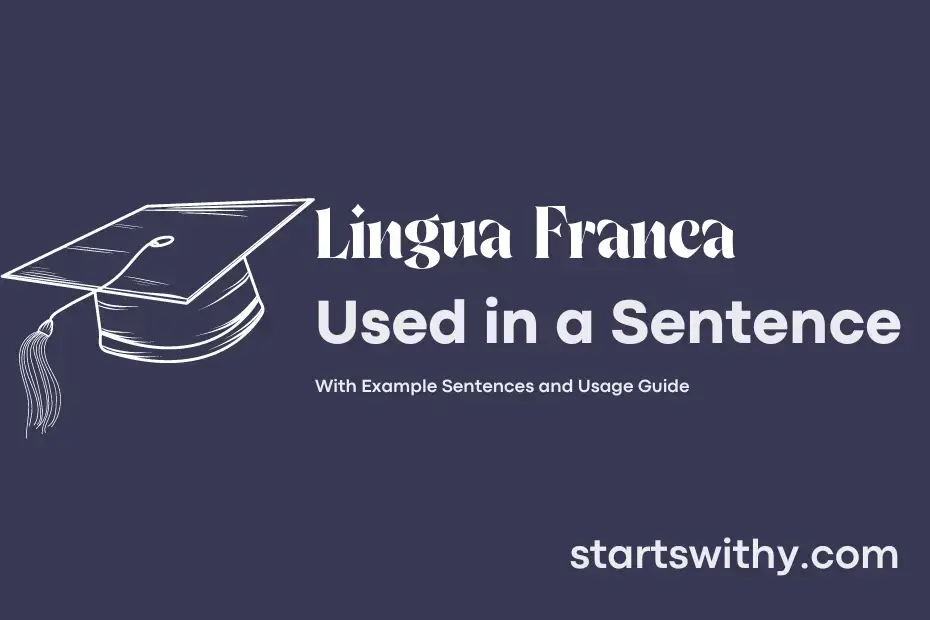 sentence with Lingua Franca