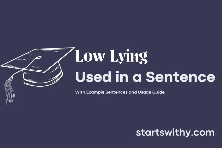 low-lying-in-a-sentence-examples-21-ways-to-use-low-lying