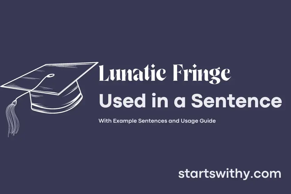 lunatic-fringe-in-a-sentence-examples-21-ways-to-use-lunatic-fringe