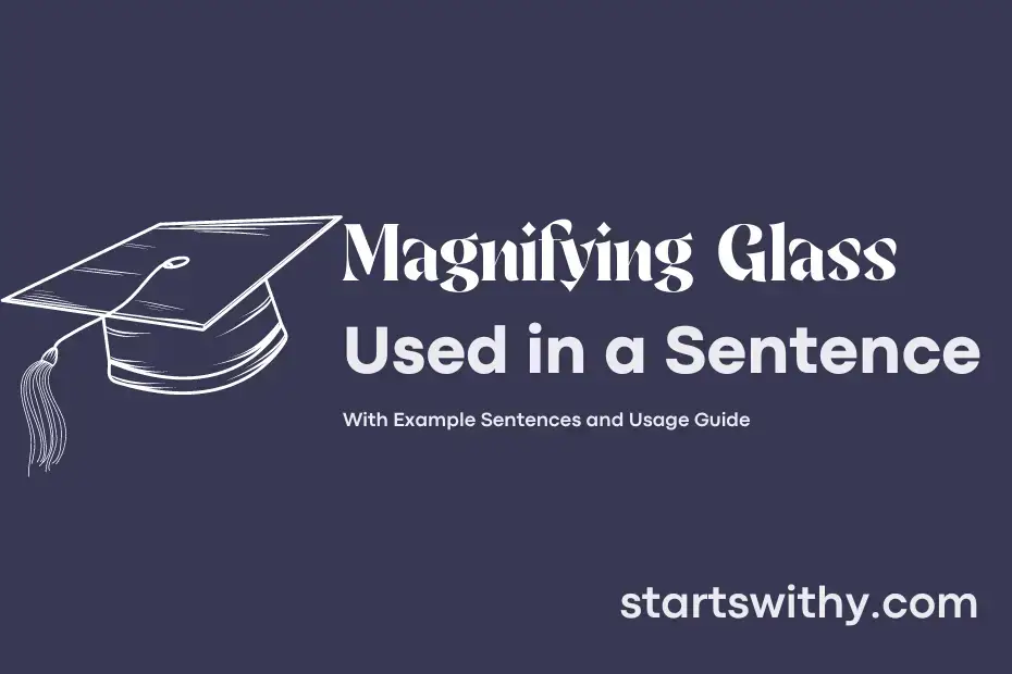 magnifying-glass-in-a-sentence-examples-21-ways-to-use-magnifying-glass