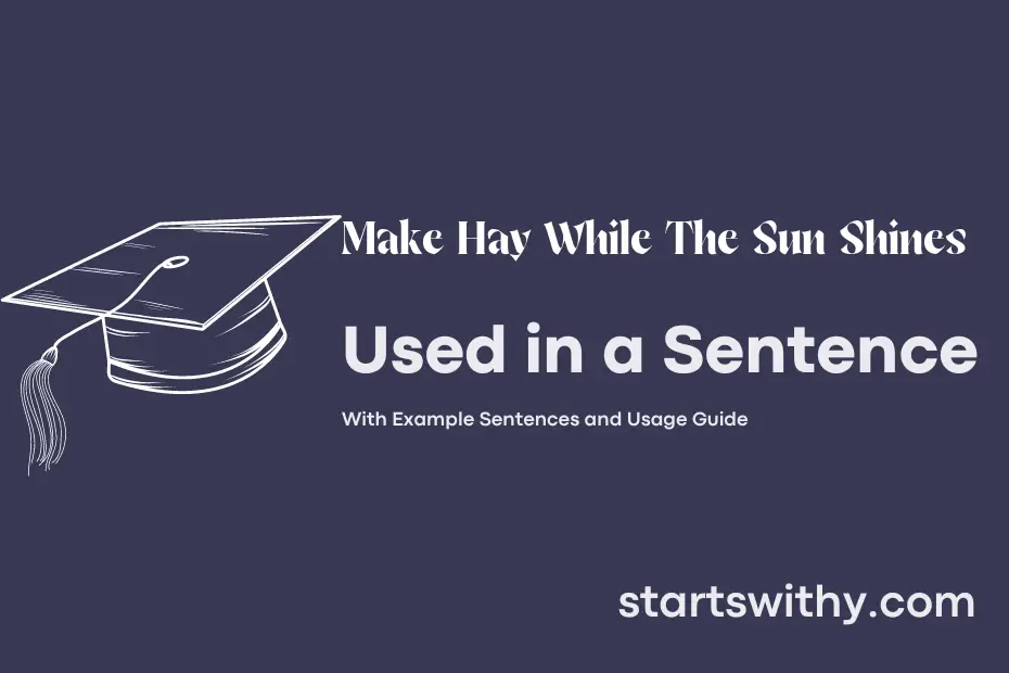 MAKE HAY WHILE THE SUN SHINES in a Sentence Examples: 21 Ways to Use ...