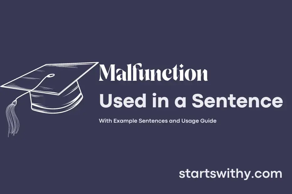 Use Malfunction In A Sentence Example