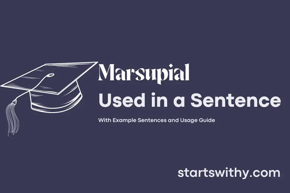Sentence with Marsupial