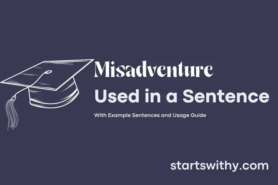 Sentence with Misadventure