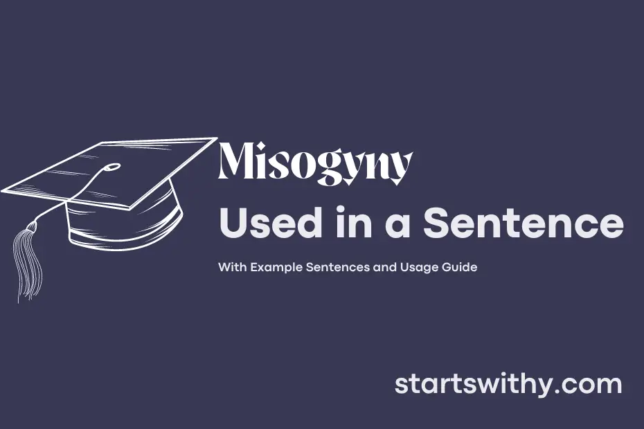 Misogyny In A Sentence Examples 21 Ways To Use Misogyny