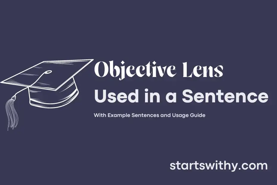 OBJECTIVE LENS in a Sentence Examples 21 Ways to Use Objective Lens