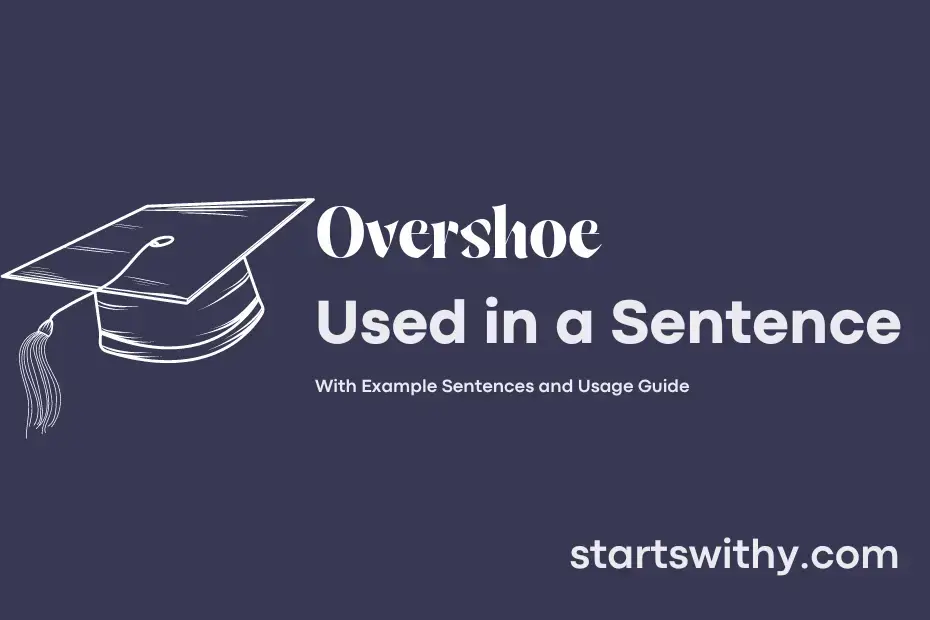 Sentence with Overshoe