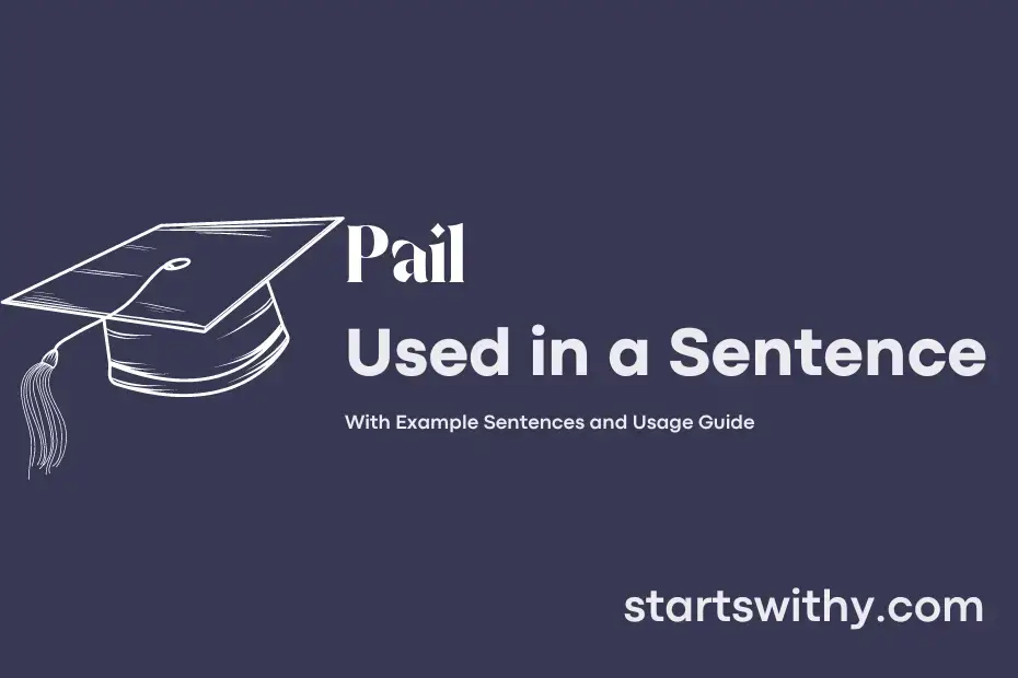 PAIL in a Sentence Examples 21 Ways to Use Pail