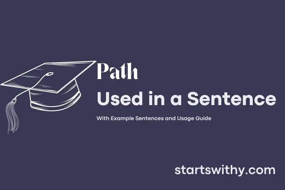 path-in-a-sentence-examples-21-ways-to-use-path