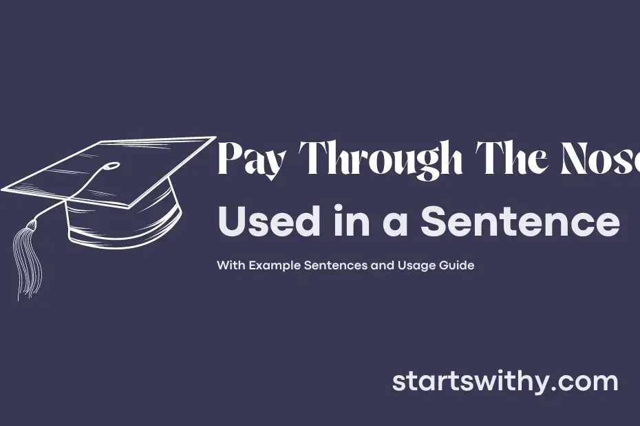 Sentence with Pay Through The Nose