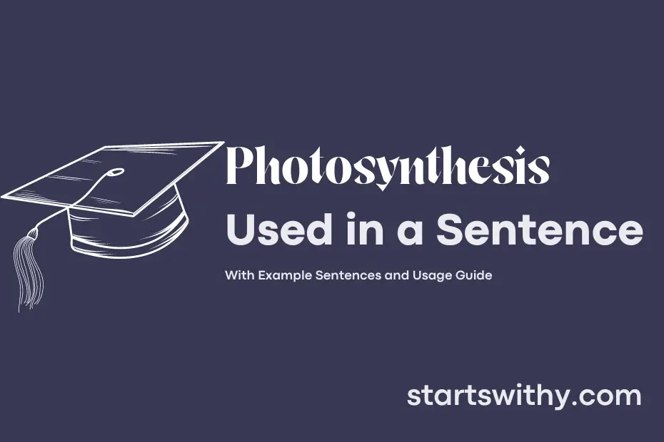 Sentence with Photosynthesis
