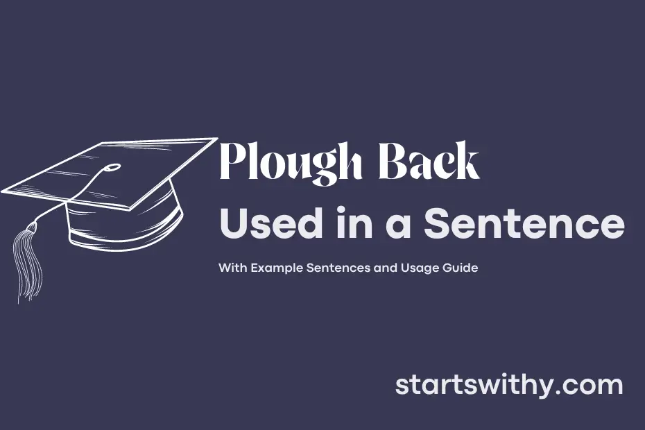 Sentence with Plough Back