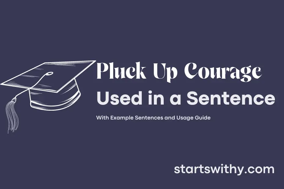 Make Sentence Pluck Up Courage