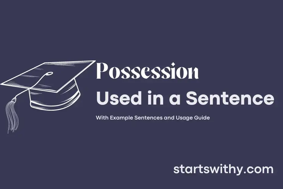 possession-in-a-sentence-examples-21-ways-to-use-possession