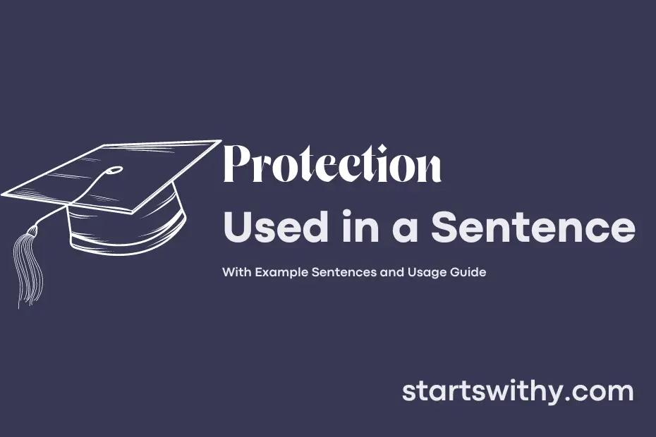 protection-in-a-sentence-examples-21-ways-to-use-protection