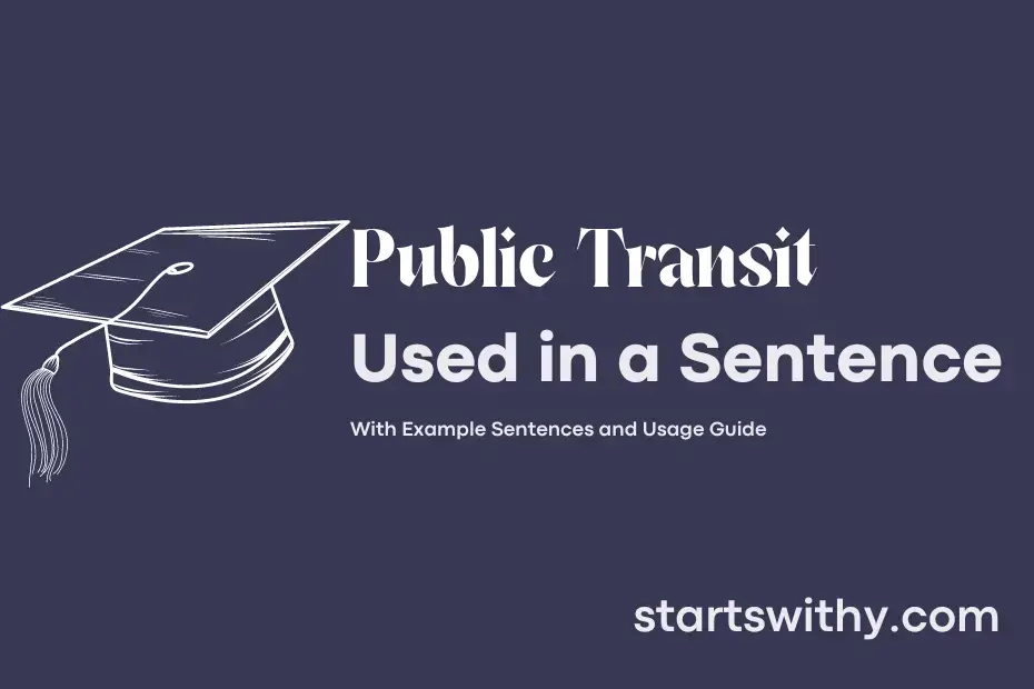 public-transit-in-a-sentence-examples-21-ways-to-use-public-transit