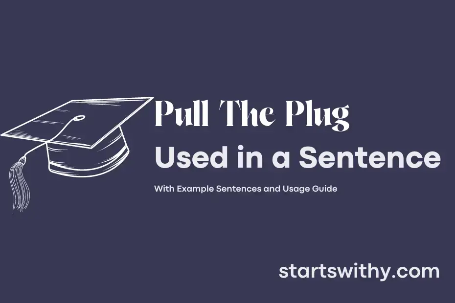 PULL THE PLUG in a Sentence Examples: 21 Ways to Use Pull The Plug