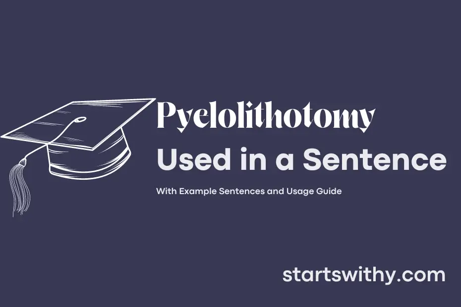 Sentence with Pyelolithotomy
