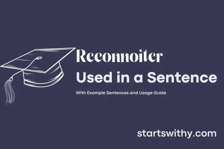 Sentence with Reconnoiter
