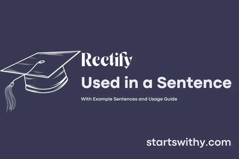 rectify-in-a-sentence-examples-21-ways-to-use-rectify