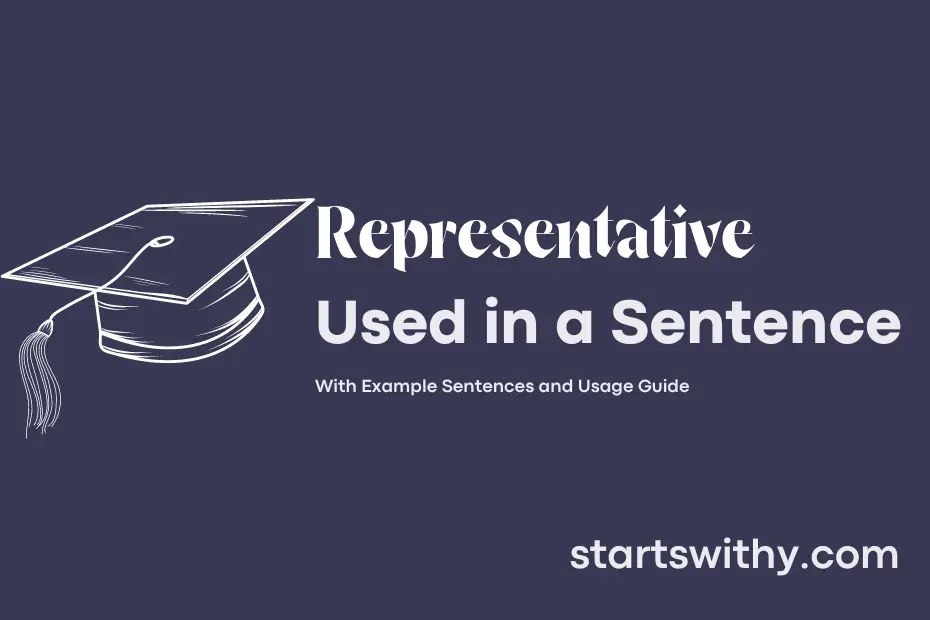 representative-in-a-sentence-examples-21-ways-to-use-representative