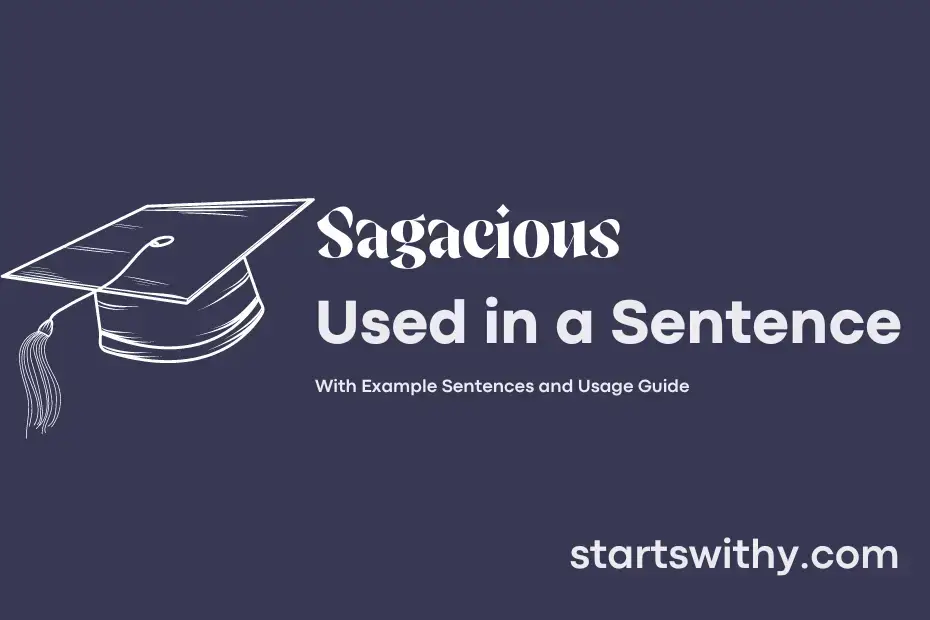 Sentence with Sagacious