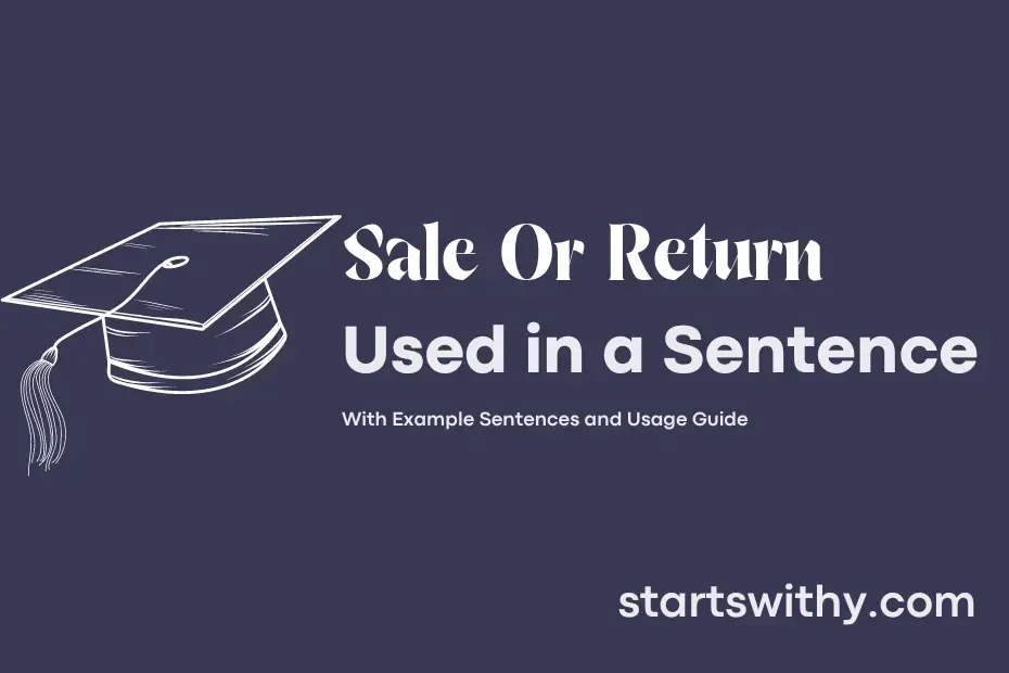 sale-or-return-in-a-sentence-examples-21-ways-to-use-sale-or-return