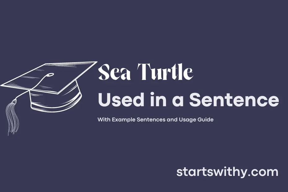 Sentence with Sea Turtle