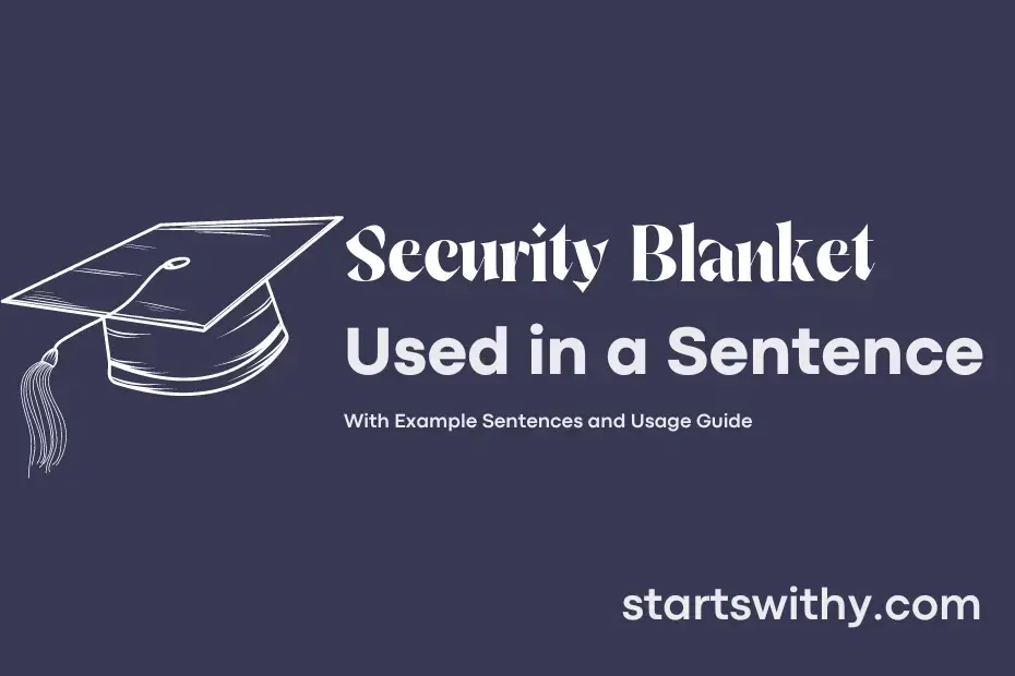 SECURITY BLANKET in a Sentence Examples 21 Ways to Use Security Blanket