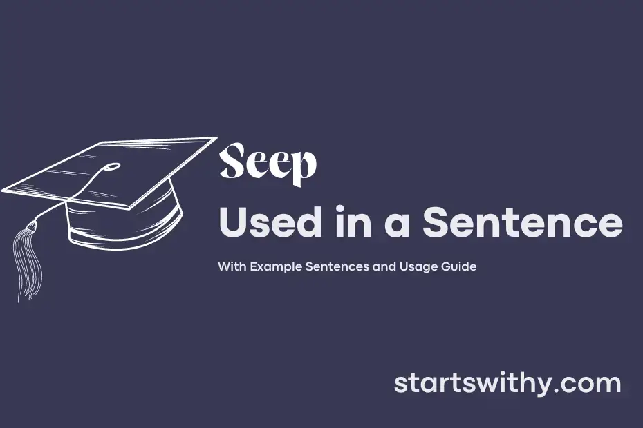 seep-in-a-sentence-examples-21-ways-to-use-seep