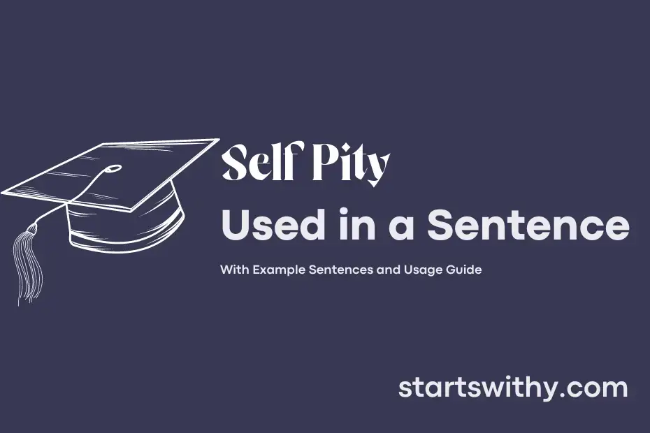 self-pity-in-a-sentence-examples-21-ways-to-use-self-pity