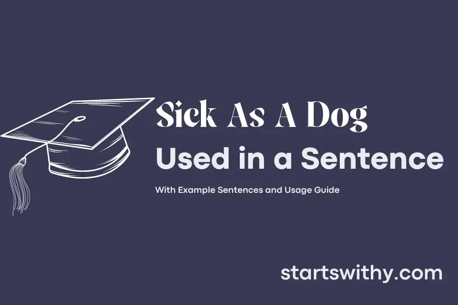 sick-as-a-dog-in-a-sentence-examples-21-ways-to-use-sick-as-a-dog