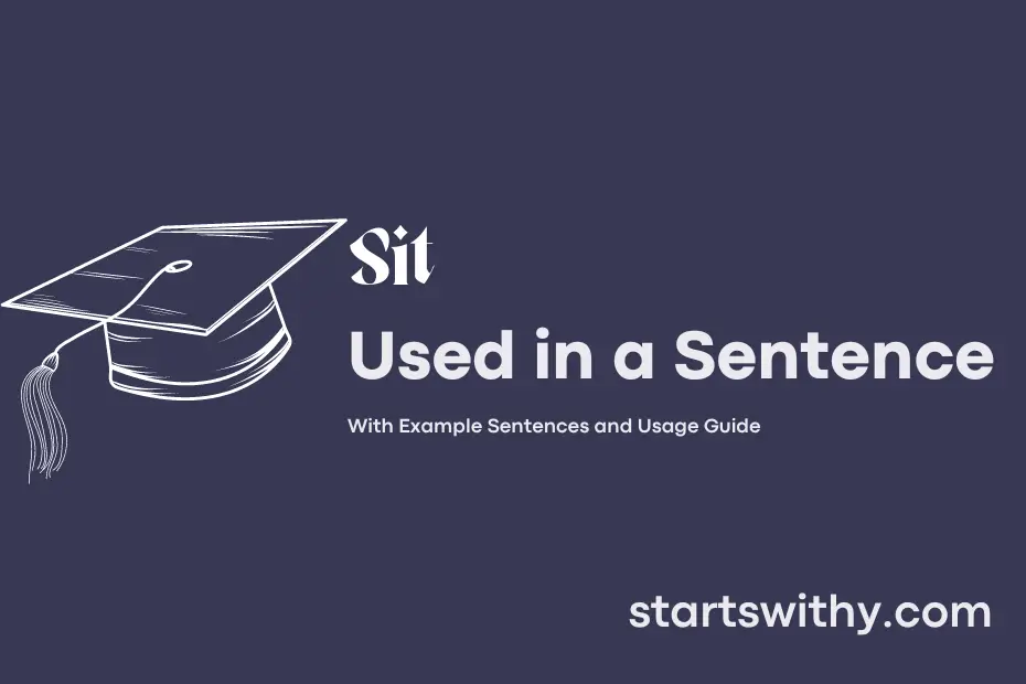 sit-in-a-sentence-examples-21-ways-to-use-sit