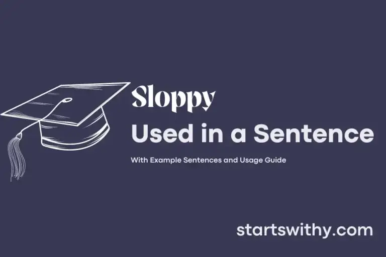 Sloppy In A Sentence