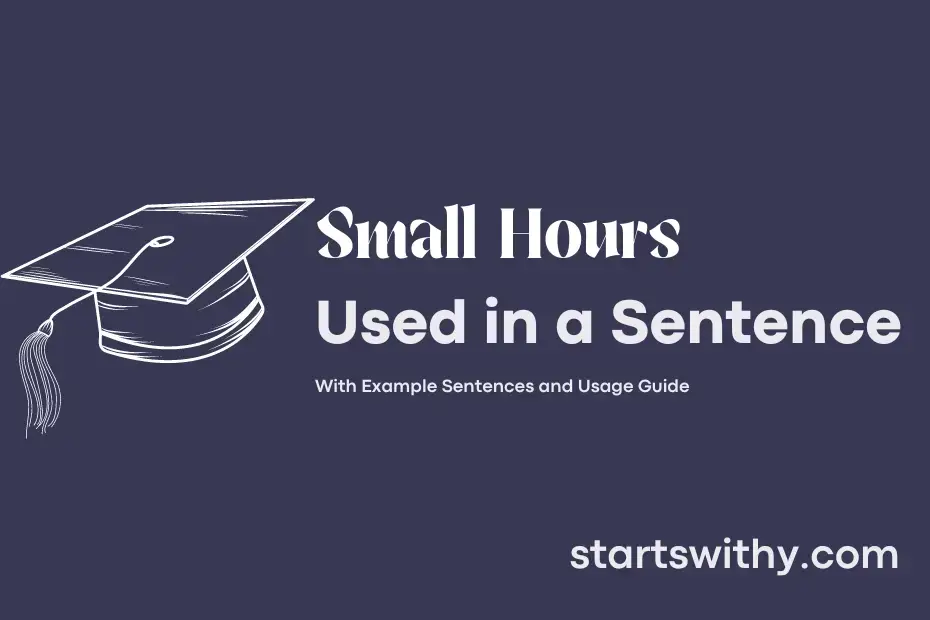 small-hours-in-a-sentence-examples-21-ways-to-use-small-hours