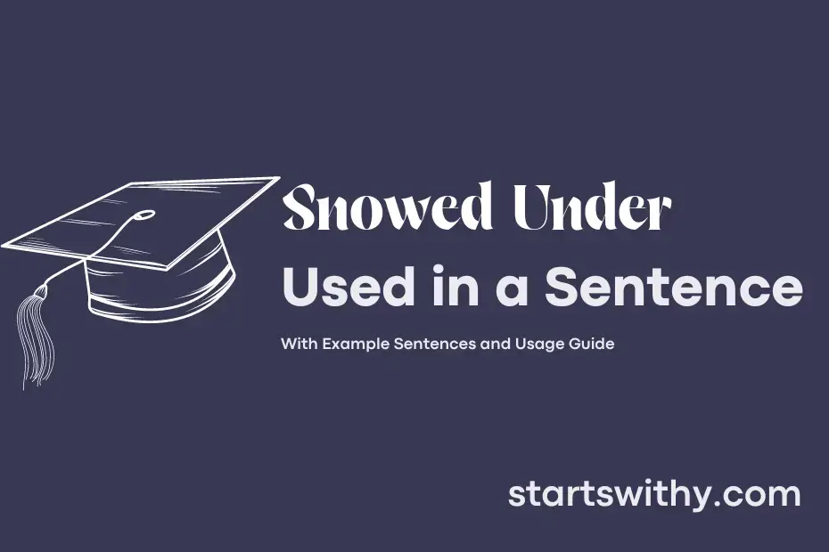 Make Sentence With Snowed Under