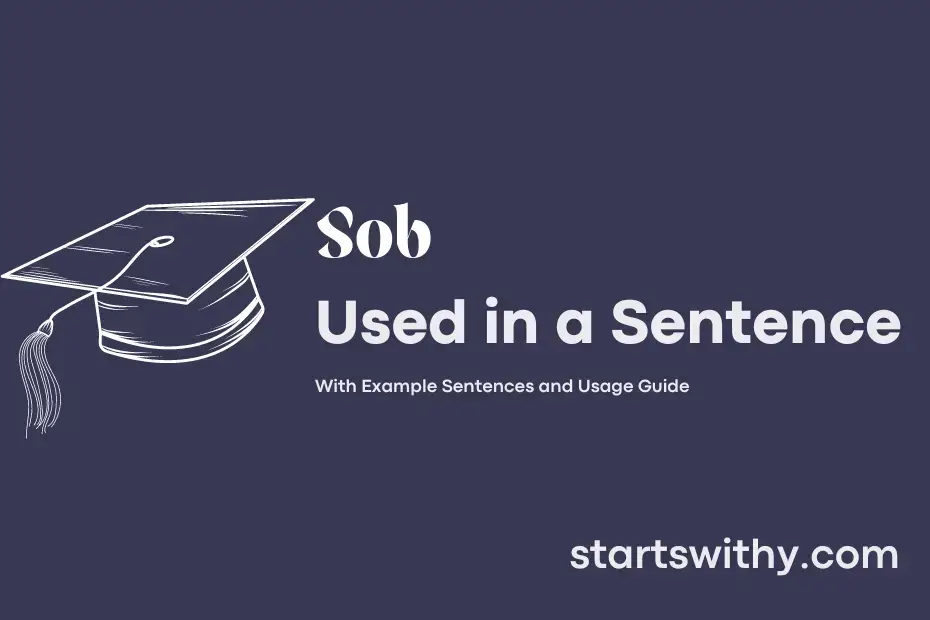 sob-in-a-sentence-examples-21-ways-to-use-sob