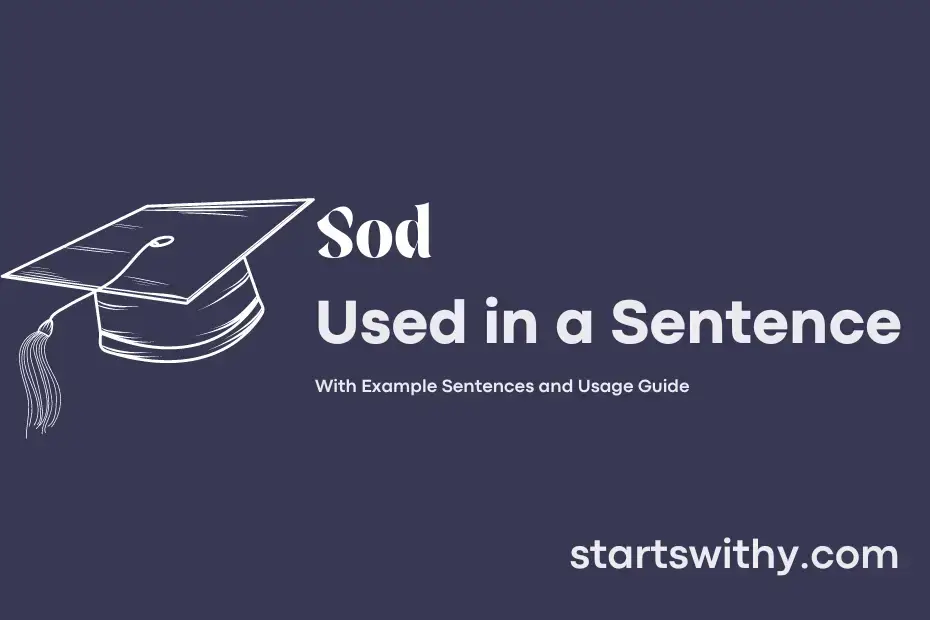 Use Sod In A Sentence