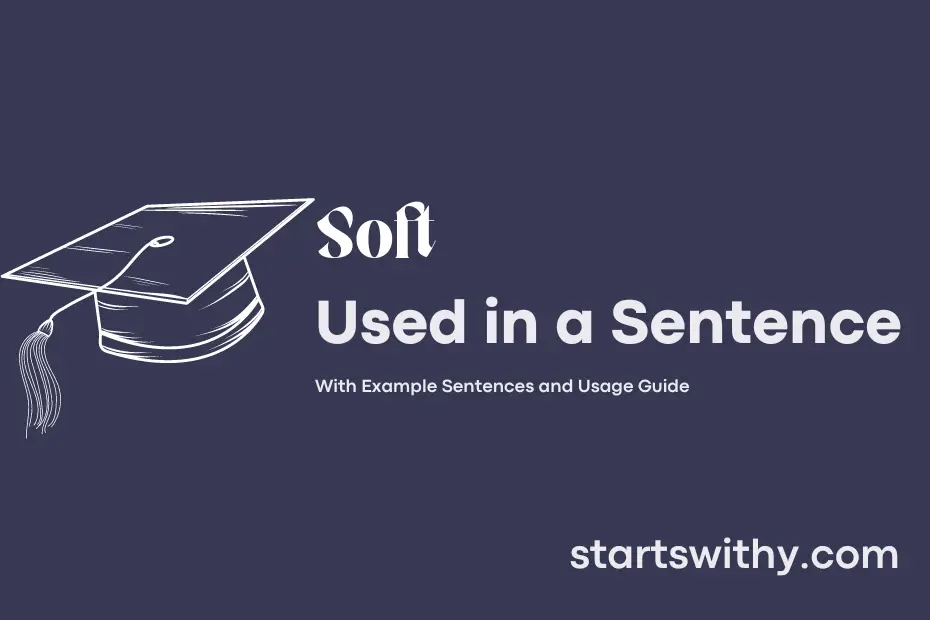 soft-in-a-sentence-examples-21-ways-to-use-soft