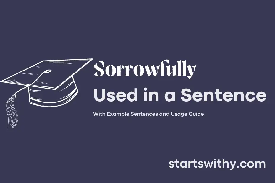 sorrowfully-in-a-sentence-examples-21-ways-to-use-sorrowfully