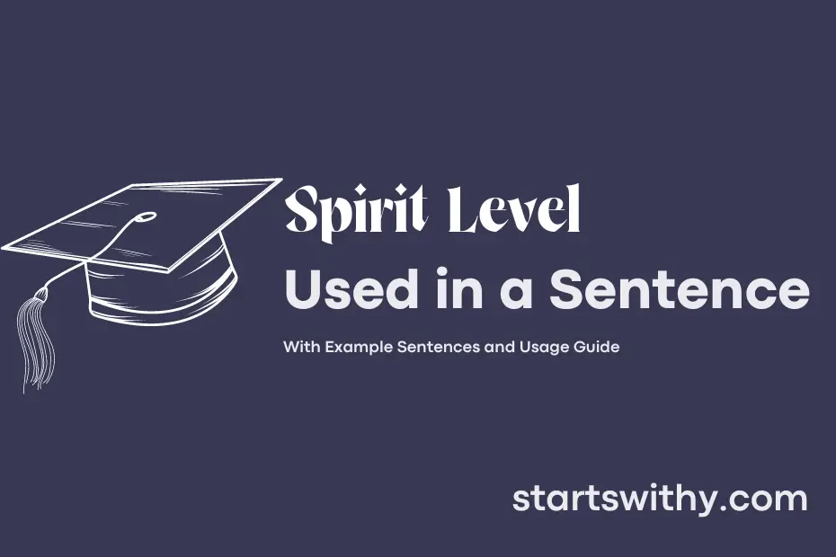 Sentence with Spirit Level