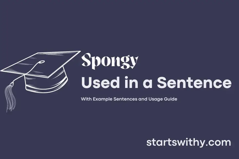 Sentence with Spongy