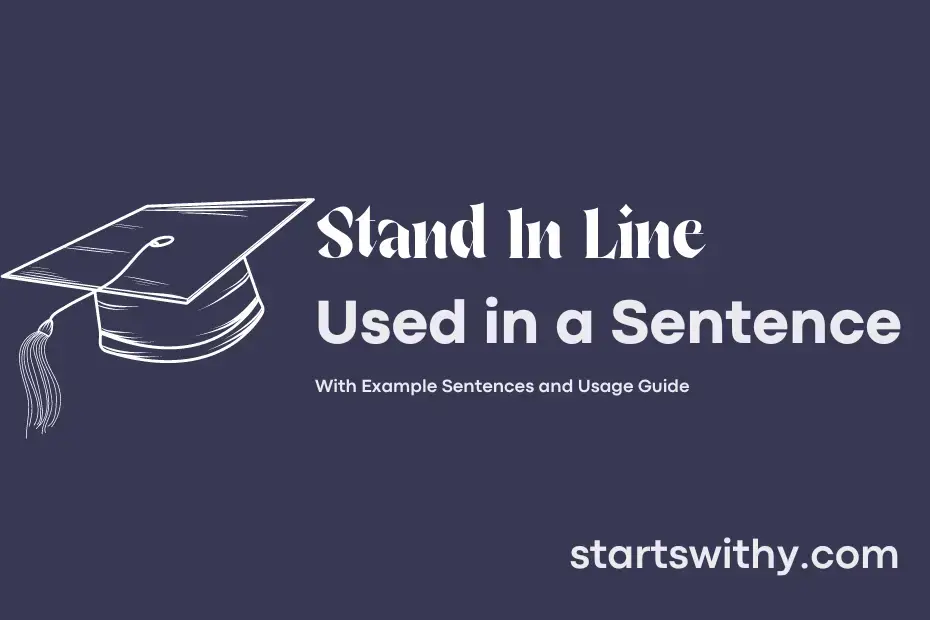 stand-in-line-in-a-sentence-examples-21-ways-to-use-stand-in-line