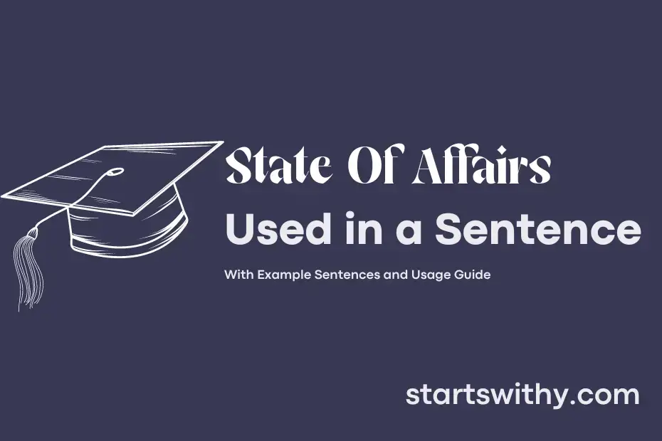 state-of-affairs-in-a-sentence-examples-21-ways-to-use-state-of-affairs