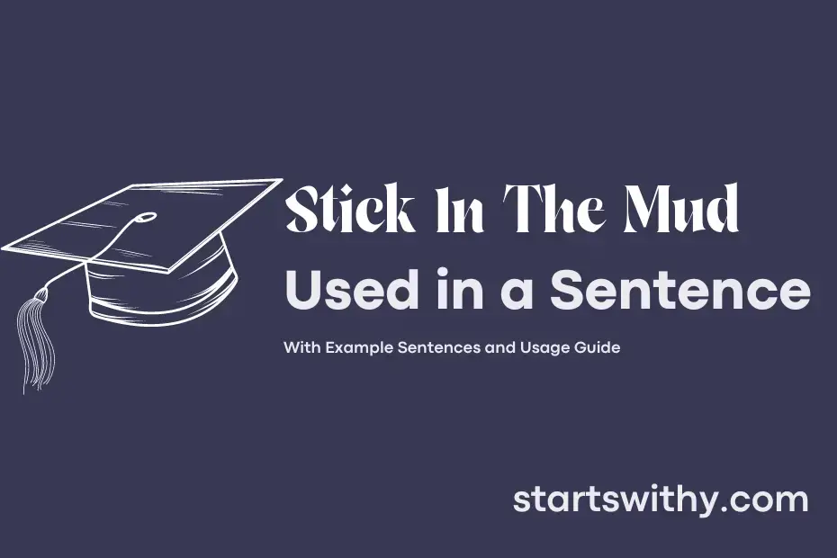 stick-in-the-mud-in-a-sentence-examples-21-ways-to-use-stick-in-the-mud