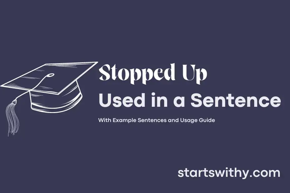 stopped-up-in-a-sentence-examples-21-ways-to-use-stopped-up